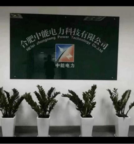 服务类 高新区优秀企业及产品展示 三