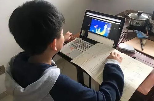 中小学期末考试取消了,已有多地发布通知,有你所在的地区吗