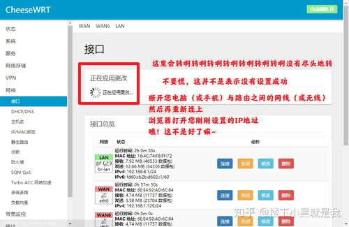 如何快速配置网络连接 基础指南
